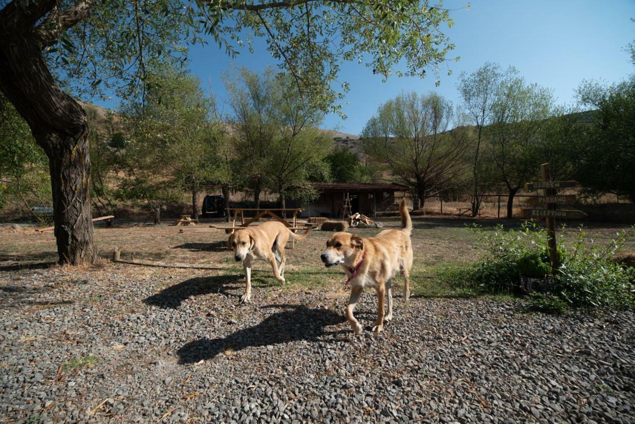 Orias Guesthouse & Farm Kalavryta Bagian luar foto